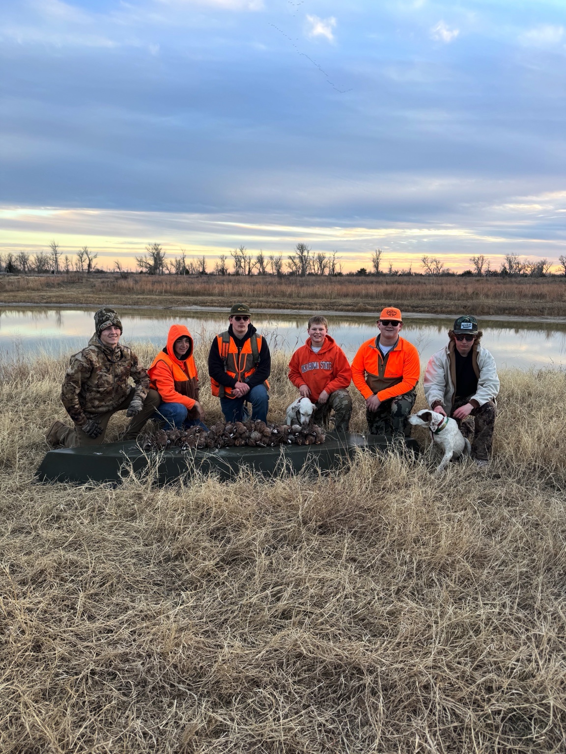 Sunset Limit - A full covey after an evening hunt