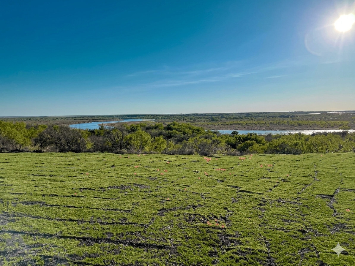 Oklahoma Prairie - Pristine upland habitat