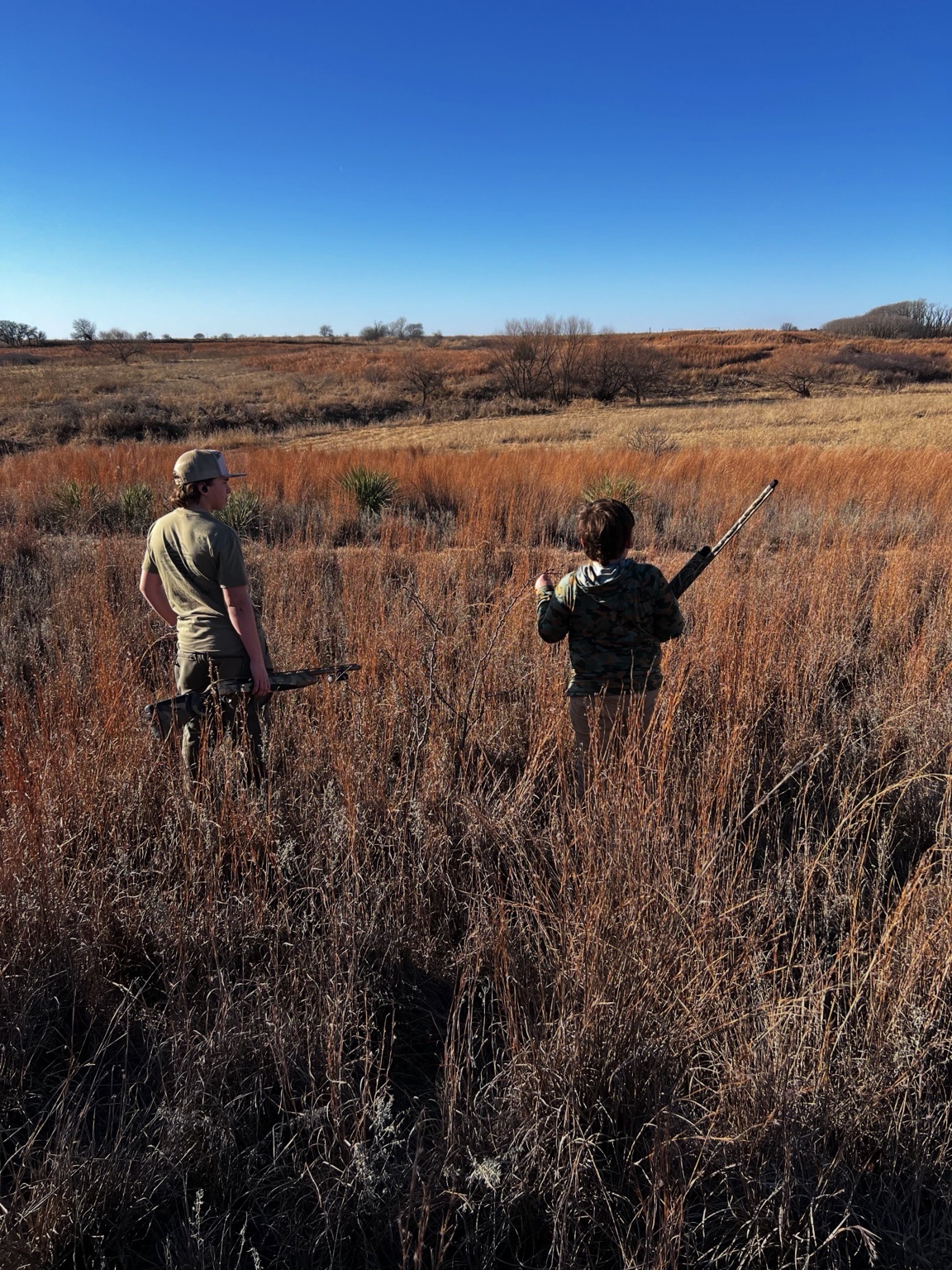 Working the Grass - Walking up birds in native prairie